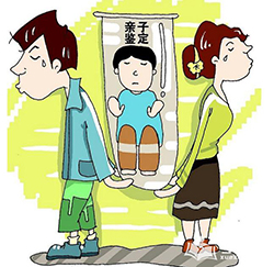 重庆想做个人DNA亲子鉴定要如何办理，重庆想办理隐私亲子鉴定办理流程