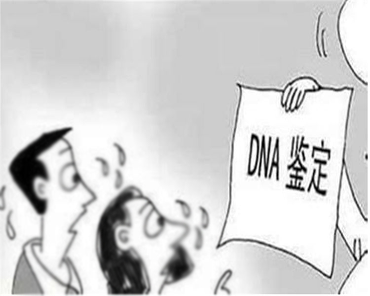 重庆司法DNA亲子鉴定去哪里办理,重庆司法DNA鉴定出结果时间