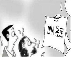 重庆司法DNA亲子鉴定去哪里办理，重庆司法DNA鉴定出结果时间