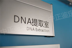 重庆司法DNA亲子鉴定在哪个地方做