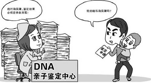 重庆上户口亲子鉴定需要如何做,重庆落户DNA鉴定多久出结果